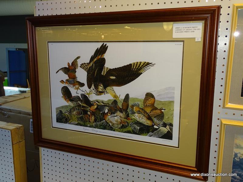 JOHN J. AUDUBON "VIRGINIAN PARTRIDGE" FRAMED PRINT; DEPICTS A GROUP OF PARTRIDGES GETTING DIVE