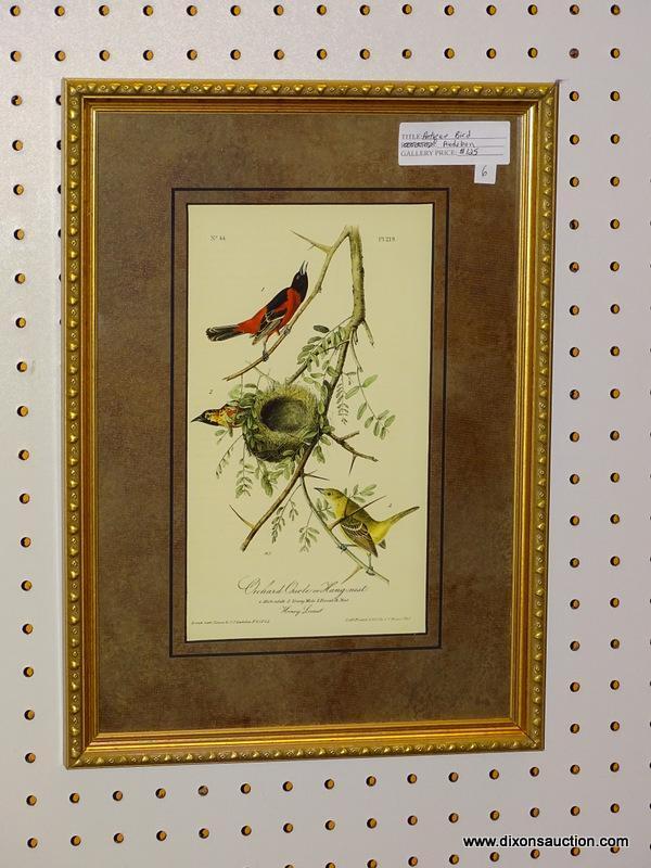 "ORCHARD ORIOLE OR HANG-NEST" JOHN J. AUDUBON PRINT; SHOWS THE MALE, YOUNG MALE, AND FEMALE BIRD