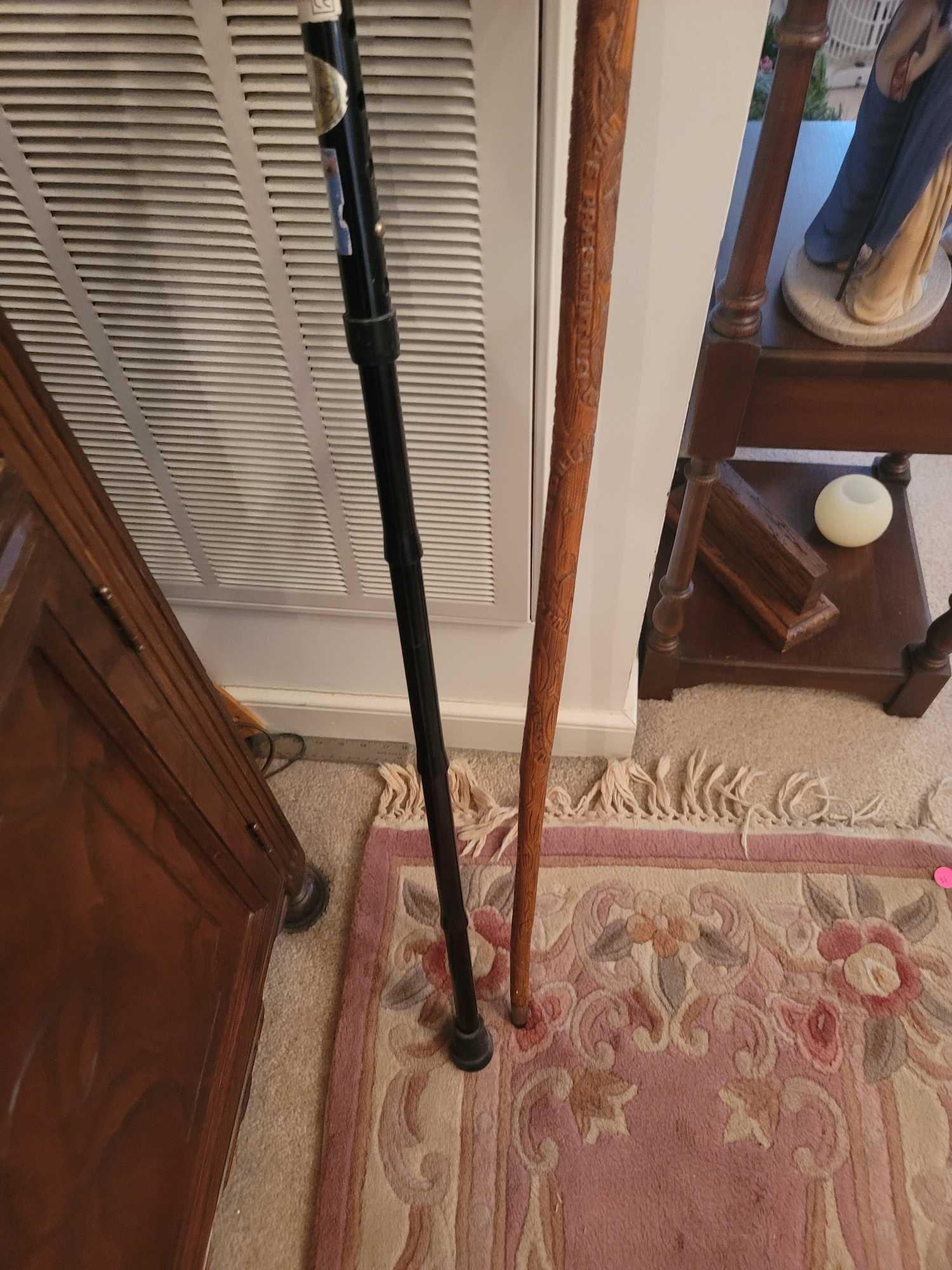 (DR) LOT OF 3 ASSORTED CANES. INCLUDES 2 A CARVED WOODEN CANE WITH NAMES OF U.S. PRESIDENTS, A BLACK