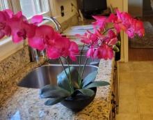 Orchid Arrangement $1 STS