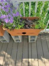 Heavy Duty Flower Pots $2 STS