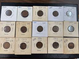 Lot of 15 Indian Head Pennies