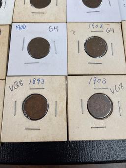 Lot of 15 Indian Head Pennies