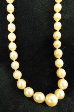 19" Strand of Pearls - 10K Clasp
