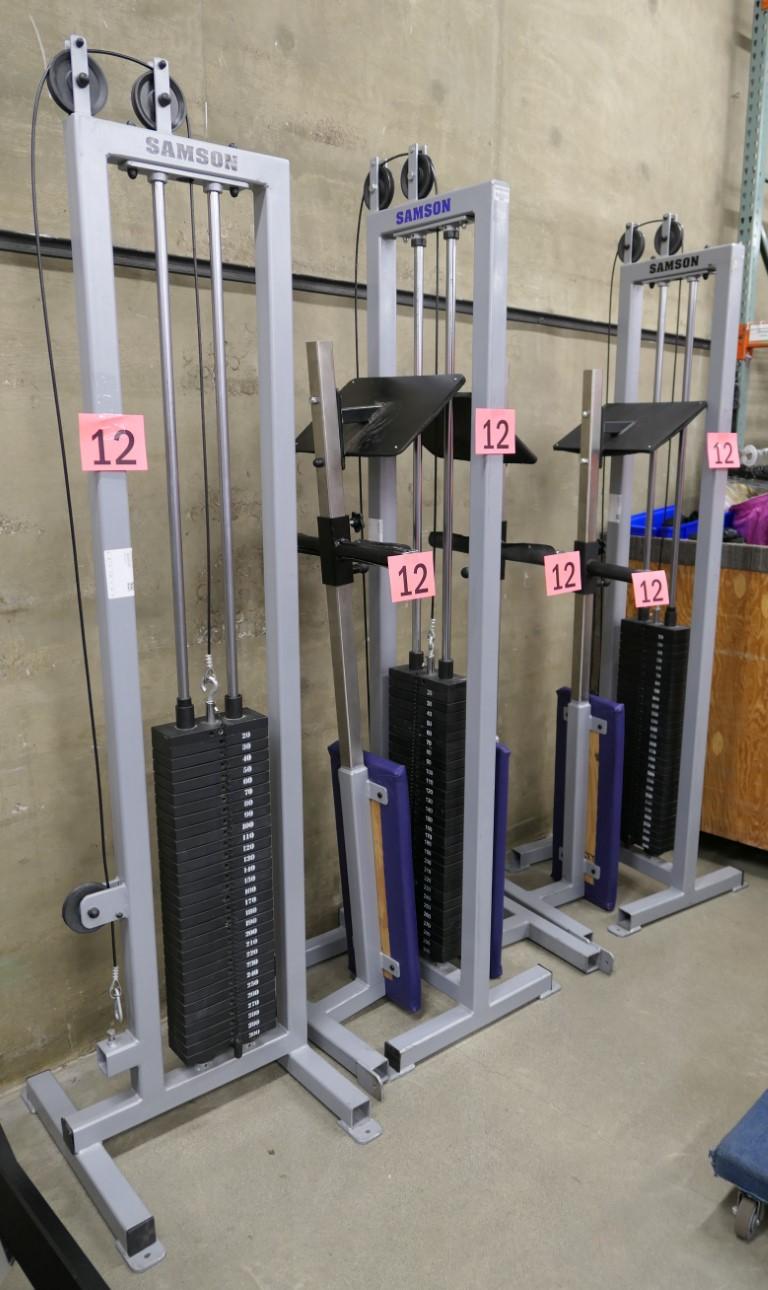 Weight Machines and Benches: Samson Custom, 3 Items