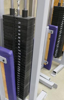 Weight Machines and Benches: Samson Custom, 3 Items