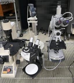 Microscopes: Carl Zeiss, Olympus CK2, Olympus BH-2, & Others