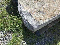 Limestone coping/step stone