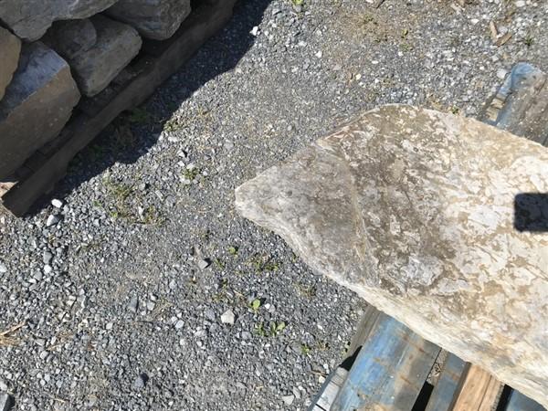 Limestone irregular shaped step