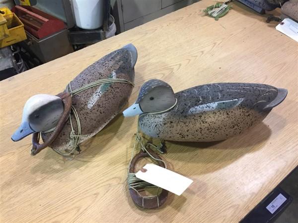 (2) L.L. Bean Cork Body Widgeon Decoys