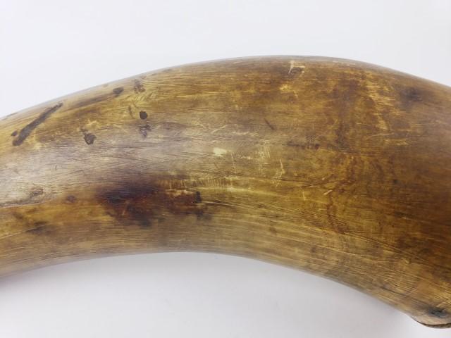 Large gun powder horn