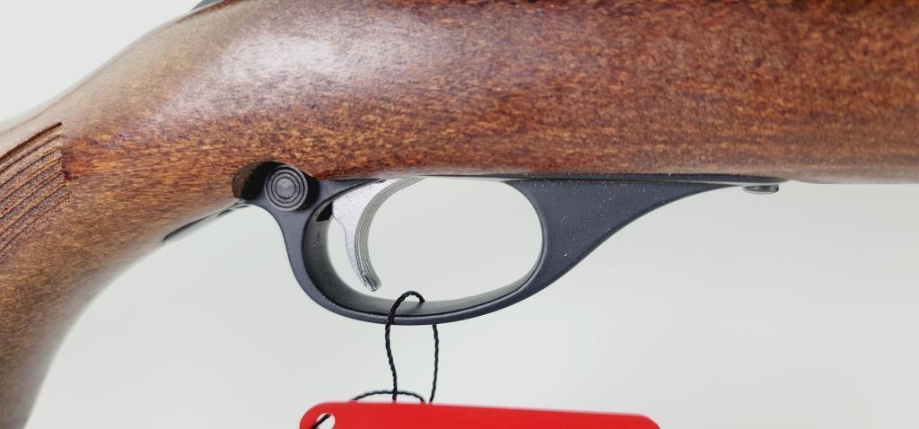 Glenfield 60 22LR Semi Auto Rifle