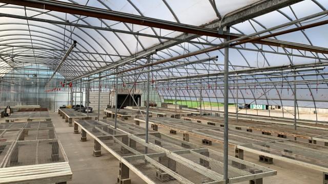 108'x115' Gutter Connected Open Span Greenhouse