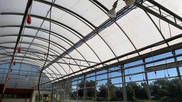 108'x115' Gutter Connected Open Span Greenhouse