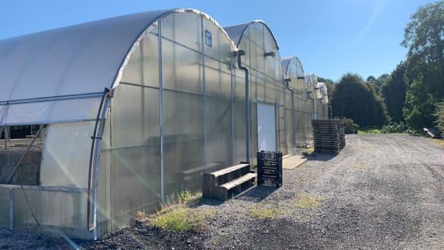 108'x115' Gutter Connected Open Span Greenhouse