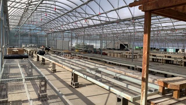108'x115' Gutter Connected Open Span Greenhouse