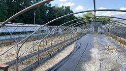16'x96' Quonset Hoop Greenhouse Structure