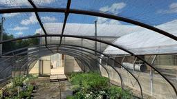 16'x96' Quonset Hoop Greenhouse Structure