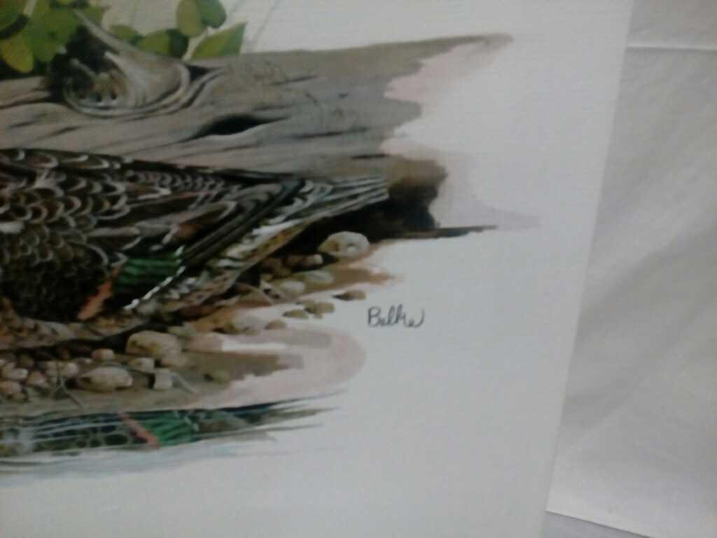 Ducks Unlimited Print By "Balke"