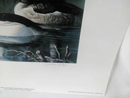 Ducks Unlimited 1995 Duck Stamp Print