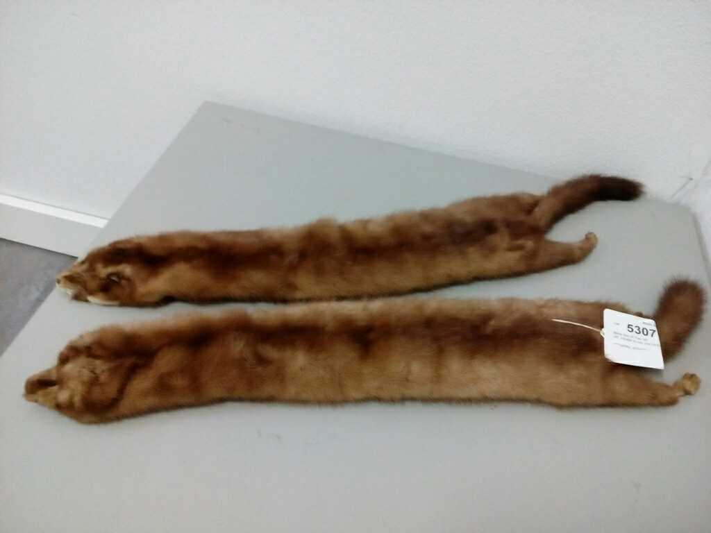 Mink Set of Two 20"