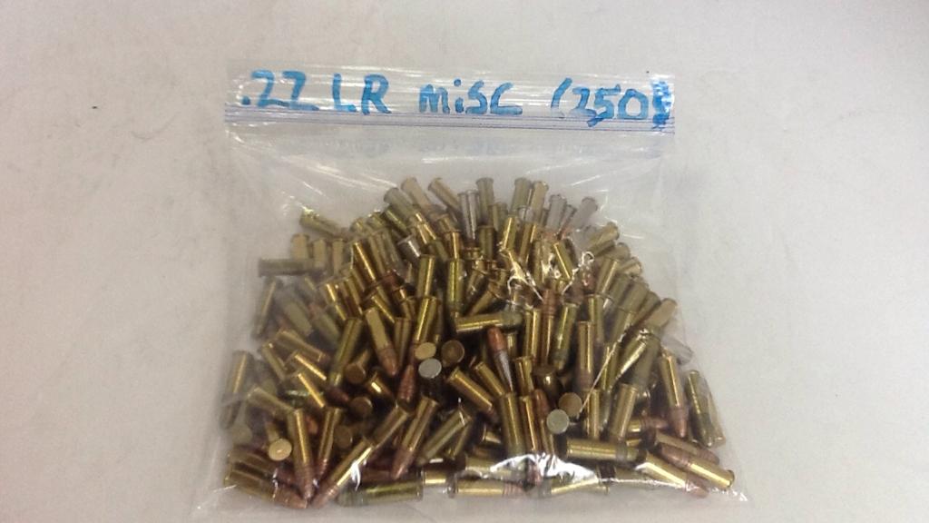 Bag of 22 CAL. LR (250 Rounds)