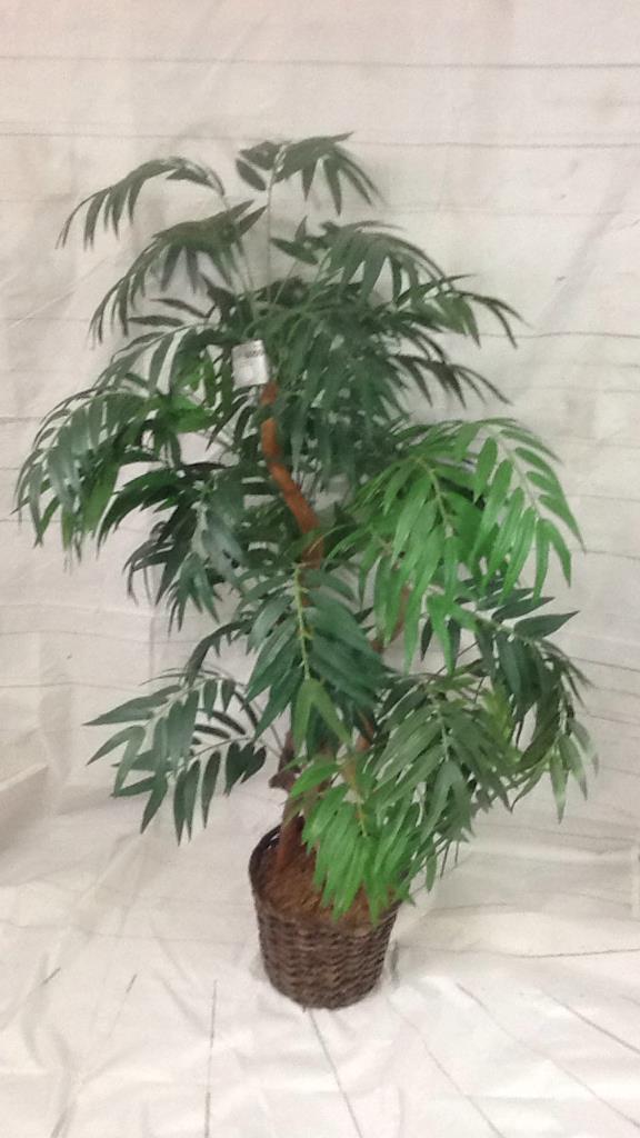 Faux Plant