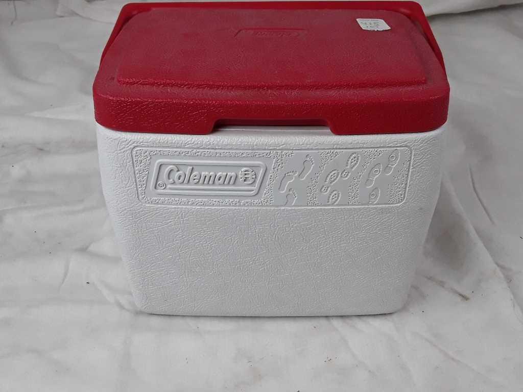 lot of 2 Coleman lunchbox coolers and drink jug