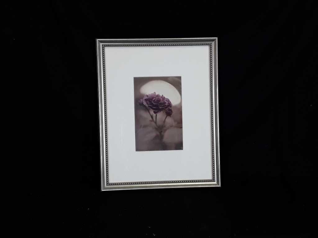 Unnamed Mollie Plummer Framed Rose Artwork