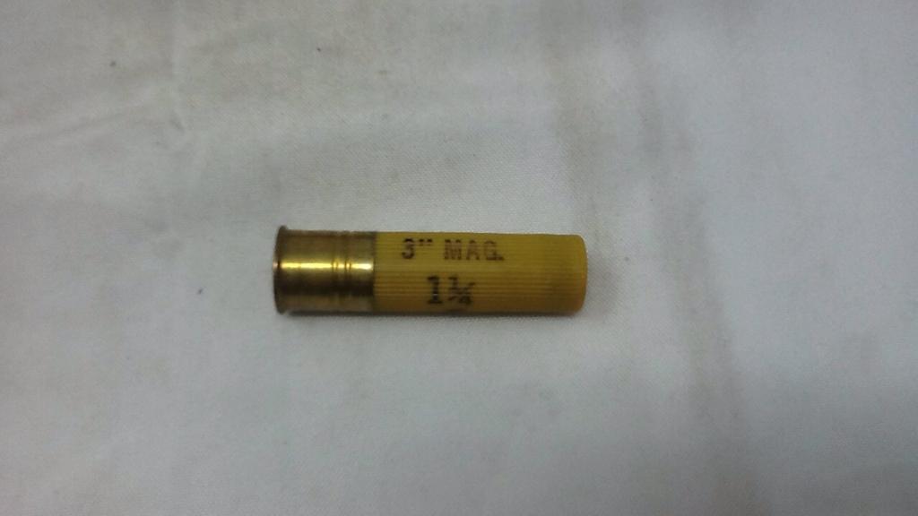 1 BAG OF 20 GA. WINCHESTER AMMO