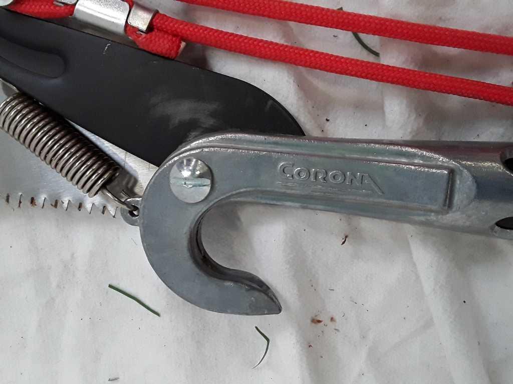 POLE SAW AND PRUNING TOOL