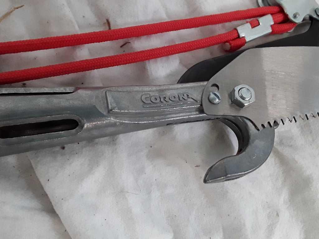 POLE SAW AND PRUNING TOOL