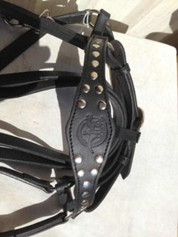 BRID 931HAV HALTER BRIDLE COMBO WSTUDS & REINS