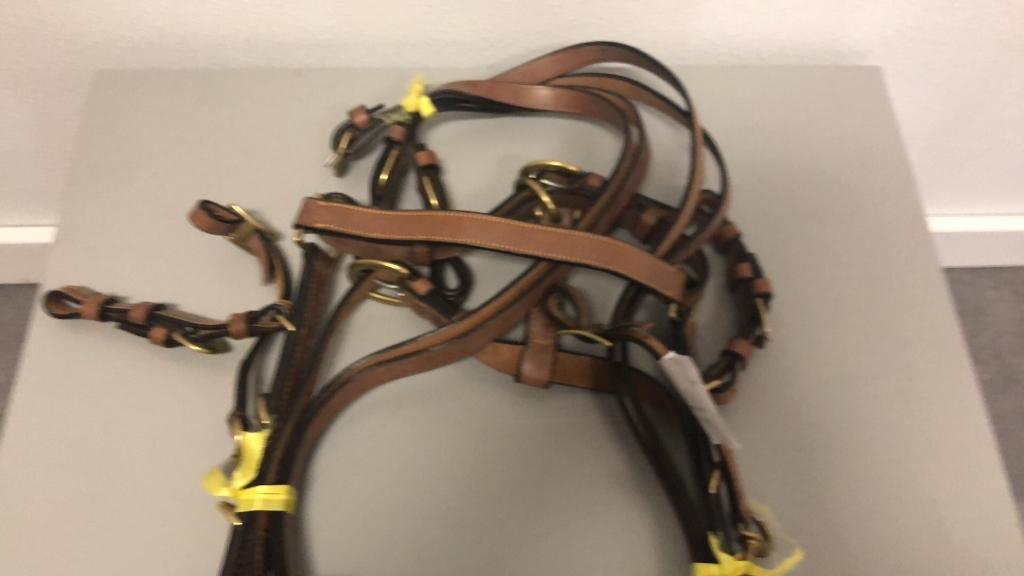 BRID 930HAV-X HALTER BRIDLE W/ REINS SUPERIOR ASSC