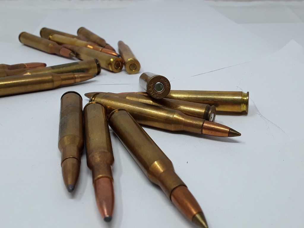 20 ROUNDS OF 270 CAL AMMO