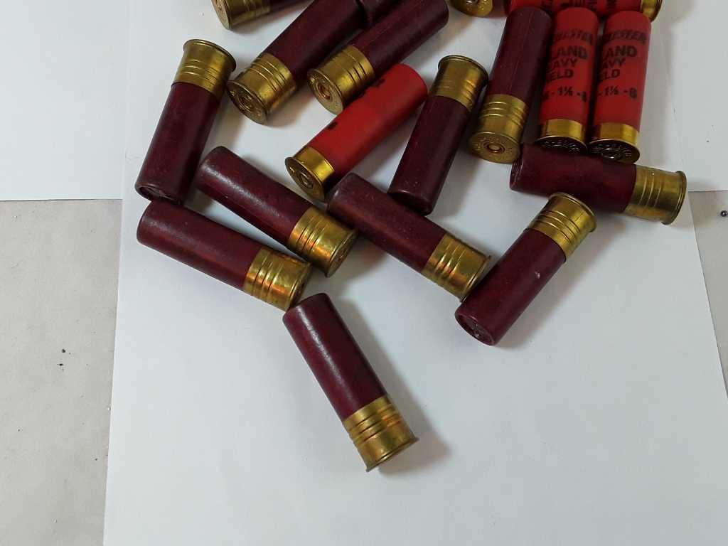 30 ROUNDS OF 16 GA SHOTGUN AMMO