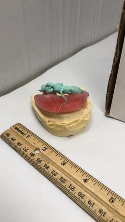 DENTAL TOOL FOR BITE PLACEMENT/MOLDS.
