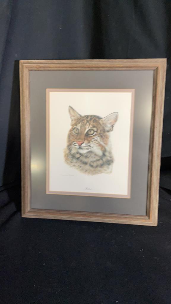 "BOBCAT" FRAMED PRINT BY CHARLES FRACE