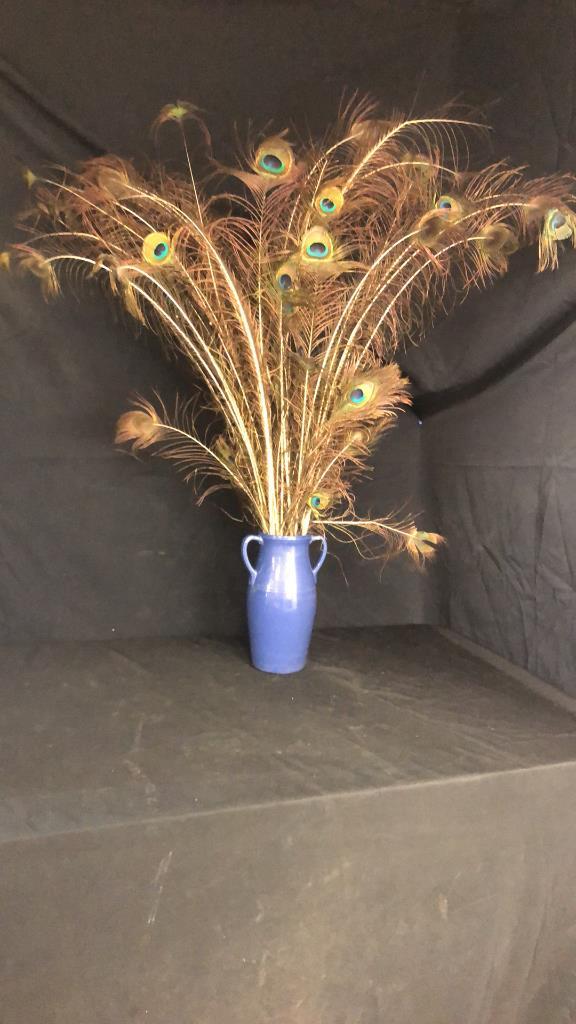 NATURAL PEACOCK FEATHER ARRANGMENT