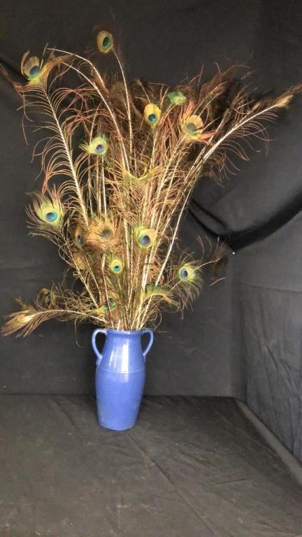 NATURAL PEACOCK FEATHER ARRANGMENT