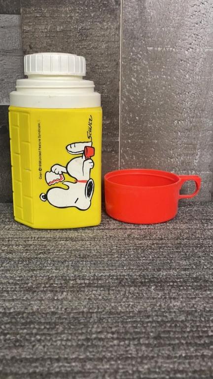 1971 WALT DISNEY WORLD METAL LUNCHBOX & THERMOS