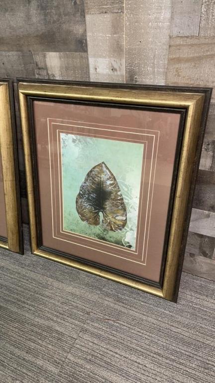 "DRY LEAF I & II" FRAMED NATURE PRINTS