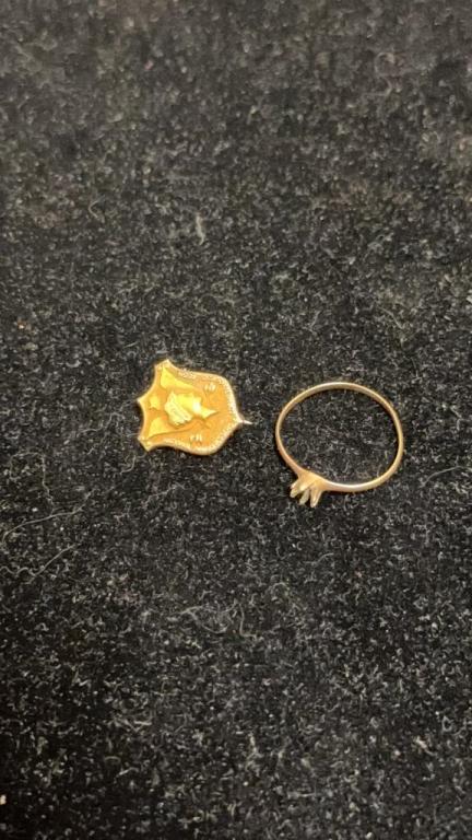 10K GOLD RING & PIN. 2G