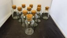 11) GLASS SPICE JARS