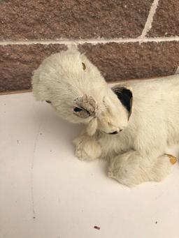 Vintage Billy Goat Bobble Head Toy 20? (real fur?)