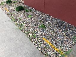 Landscaping Rocks throughout the lot