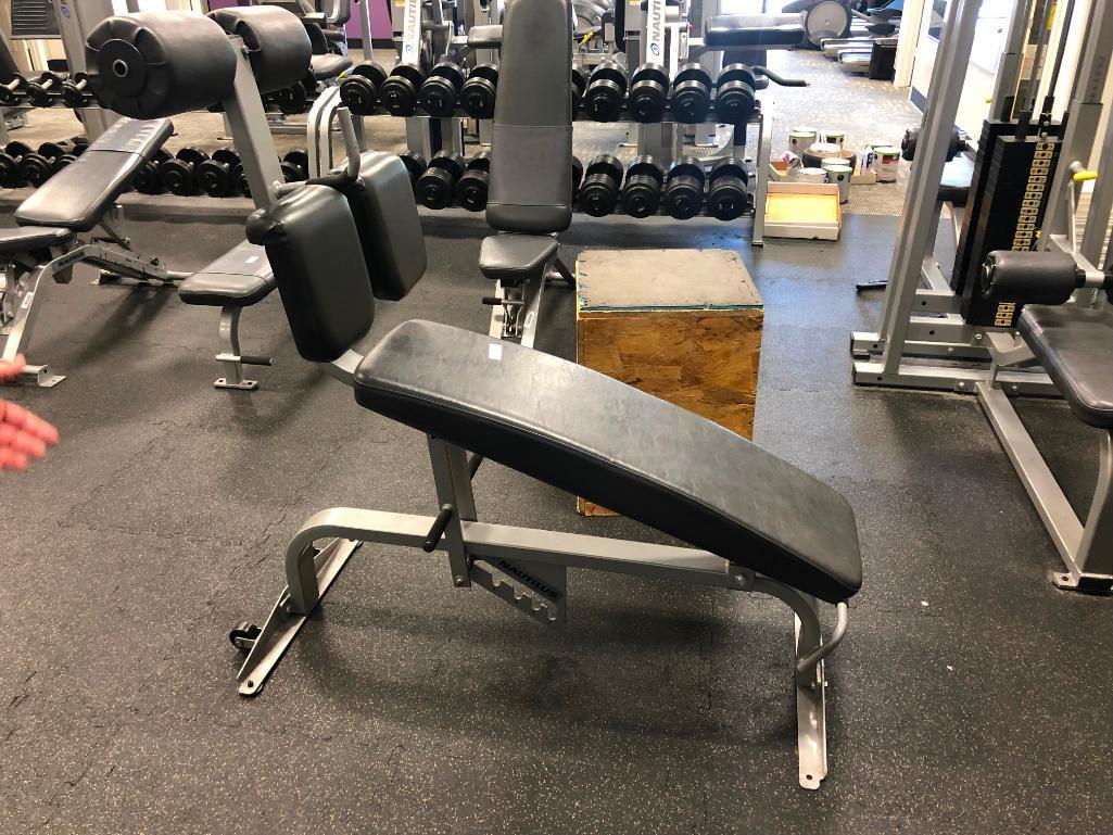 Nautilus Decline Bench