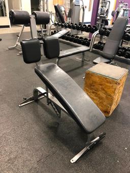 Nautilus Decline Bench