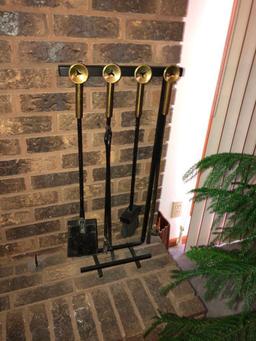 Fireplace Tools and Live Plant