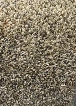 New Carpet Remnant Roll: 5ft x 10ft Gray